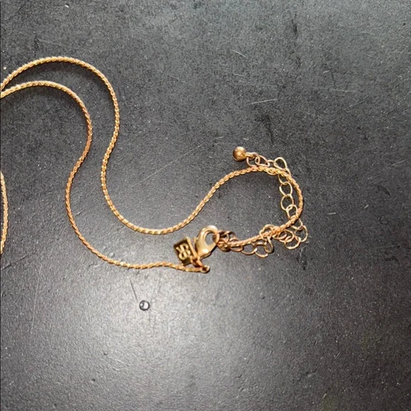 Banana Republic Factory Gold Necklace with Leaf Pendant - Picture 3 of 3